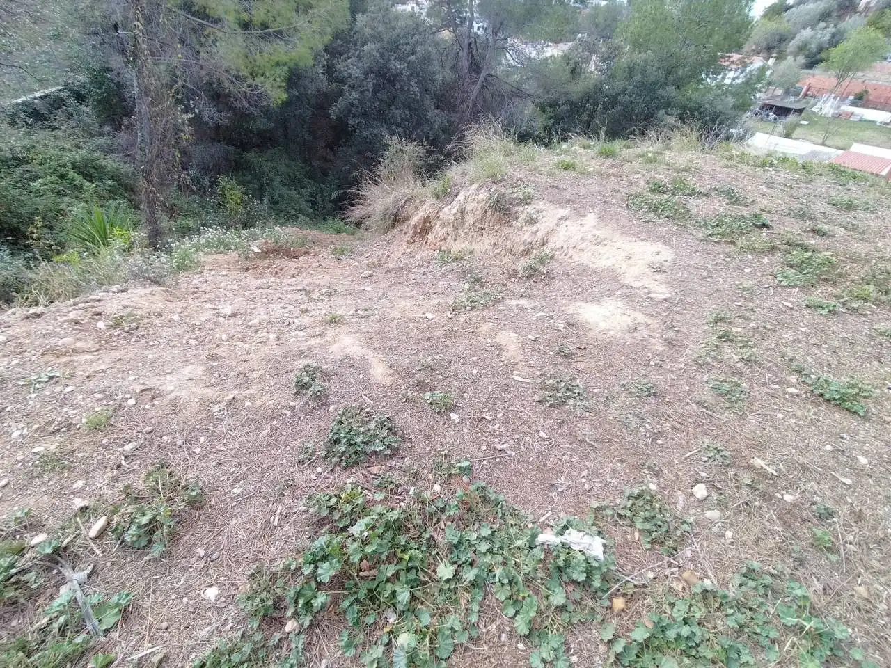 Terreny rústic en venda a Castellnou - Can Mir - Can Solà, imagen 3