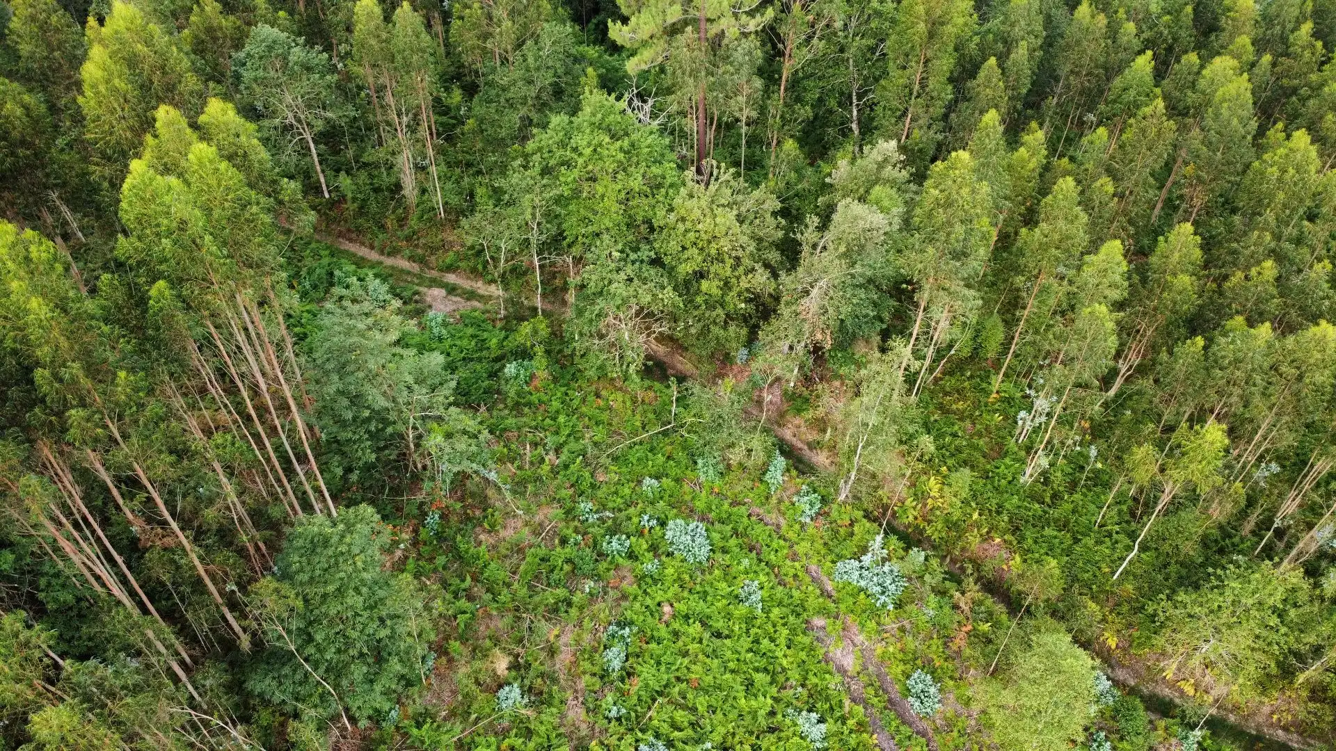 Terreno rustico in vendita a Pría - Nueva-Hontoria - Naves, imagen 9