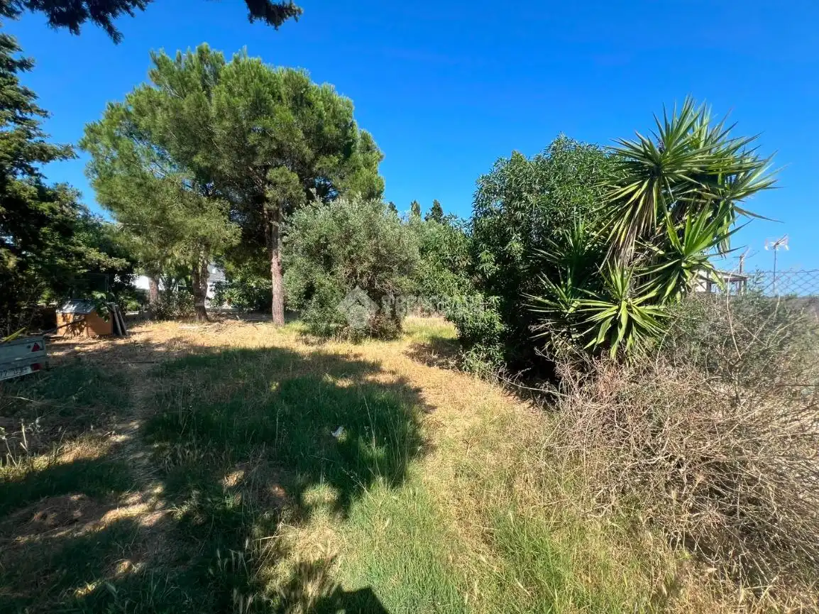Rural land for sale in Roche, imagen 9