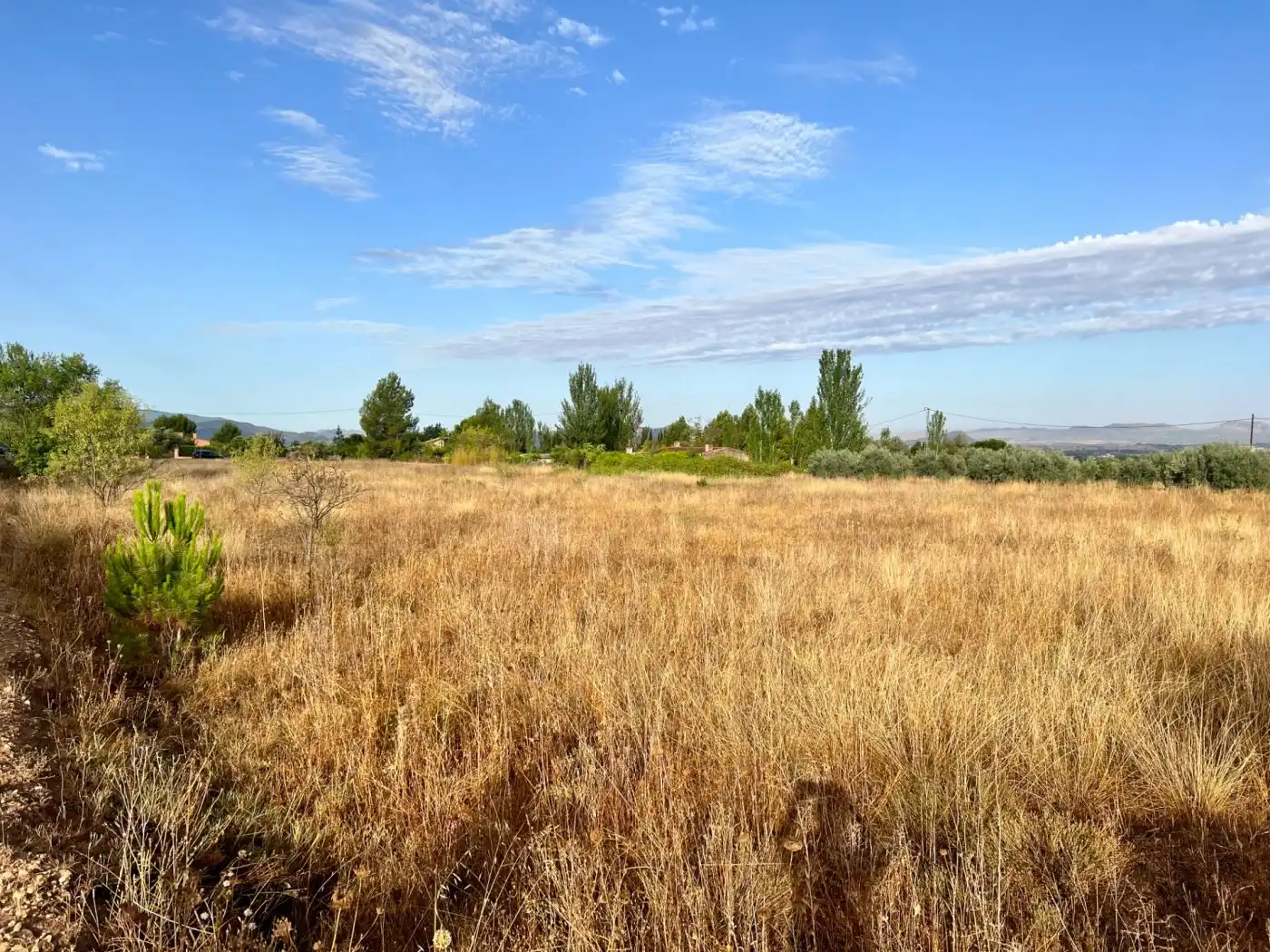 Residential land for sale in Las Tiesas, imagen 4