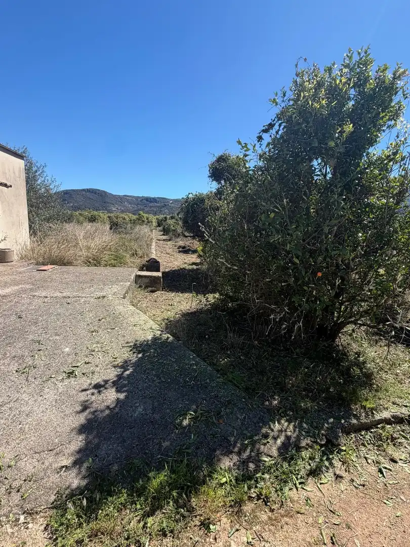 Rural land for sale in Pego, imagen 4