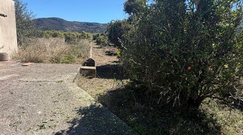 Finca rustica, imatge 4