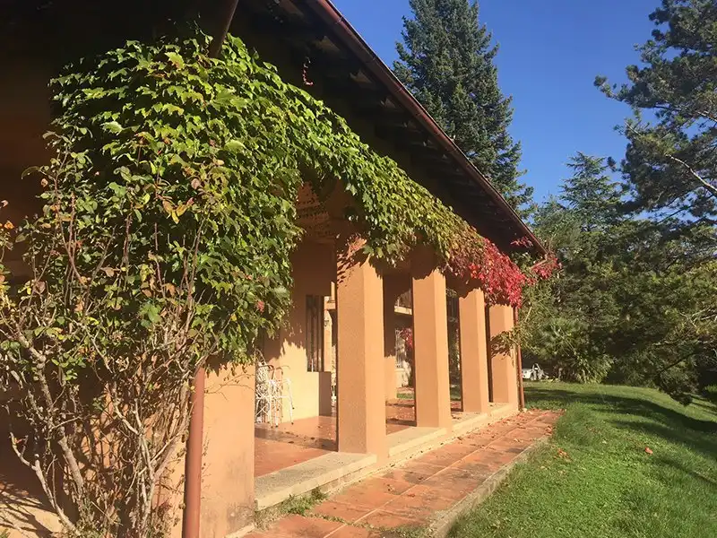 Vista exterior de Finca rústica en venda en Riudaura