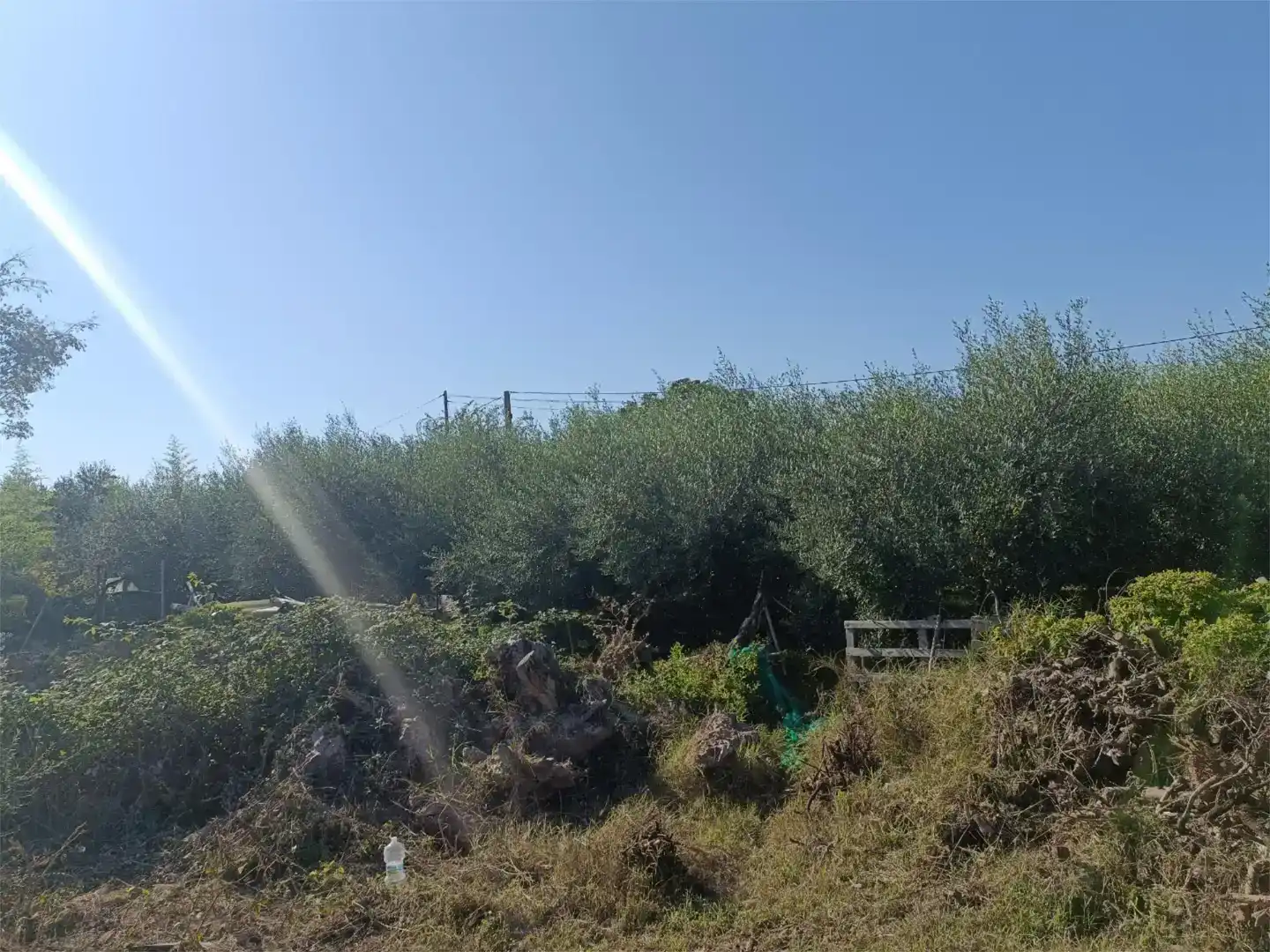 Finca rústica en venta en Les Borges Blanques con Aire acondicionado y Piscina
