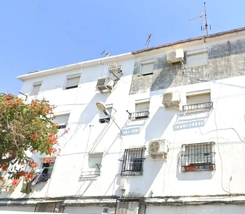 Maison à vendre à Pino, imagen 3