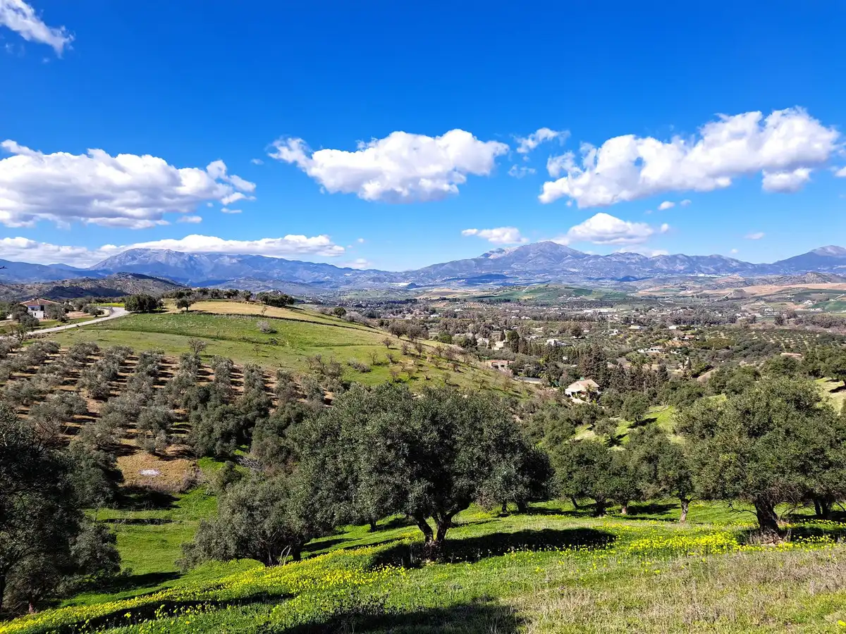 Terreni e lotti in vendita a Coín, imagen 18