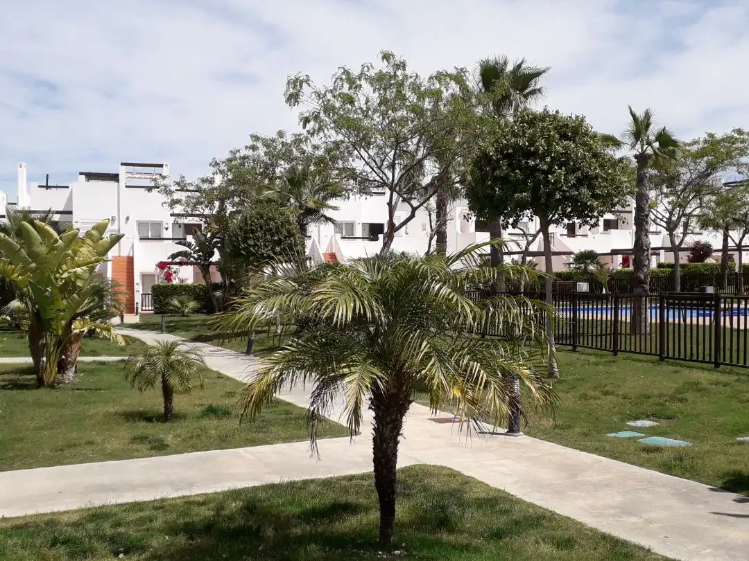 Pis amb piscina en venda a Av. de la Alcanara, 1, 2, imagen 3
