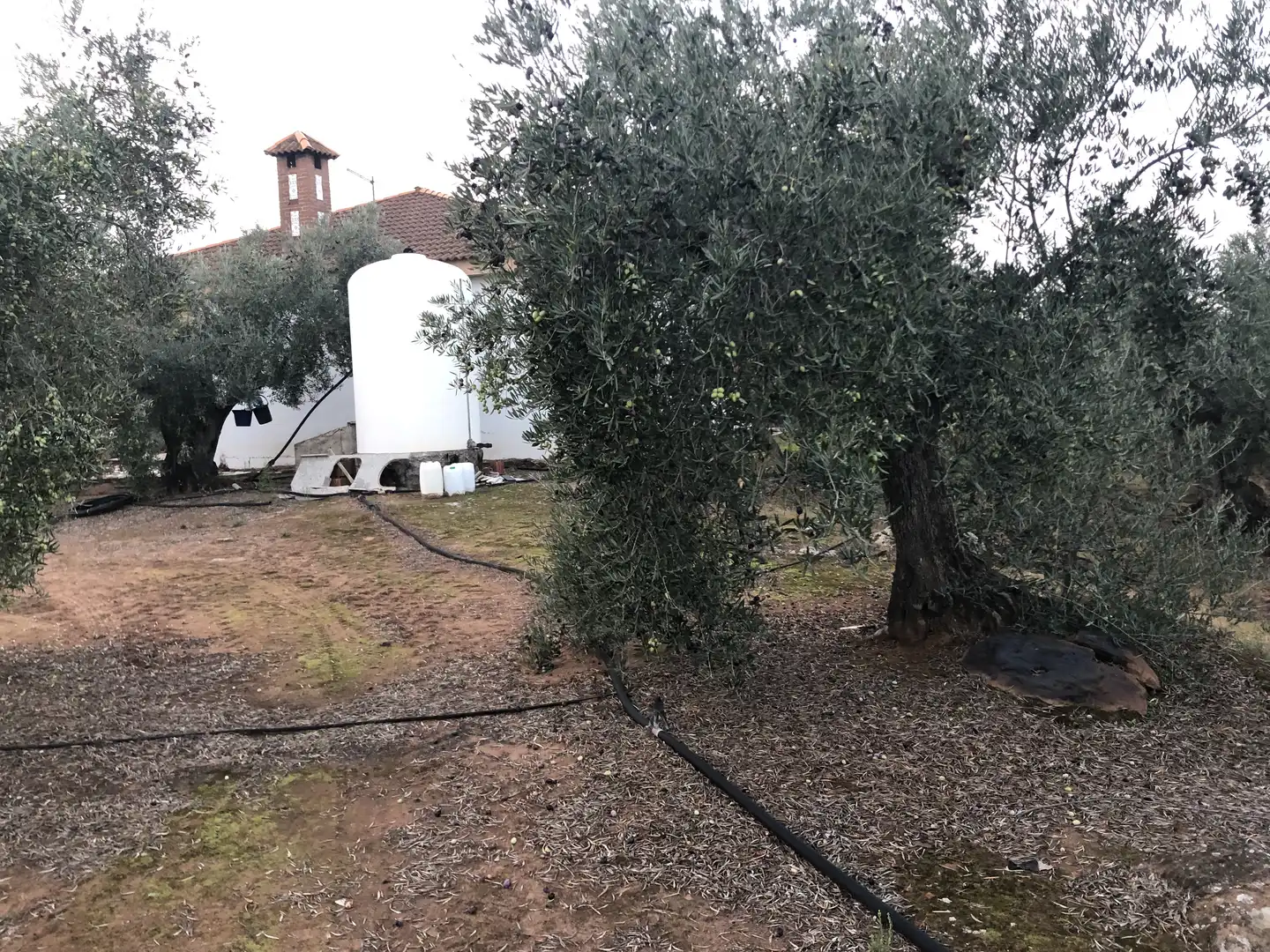 Rustikales Grundstück zum Verkauf in Montoro, imagen 9