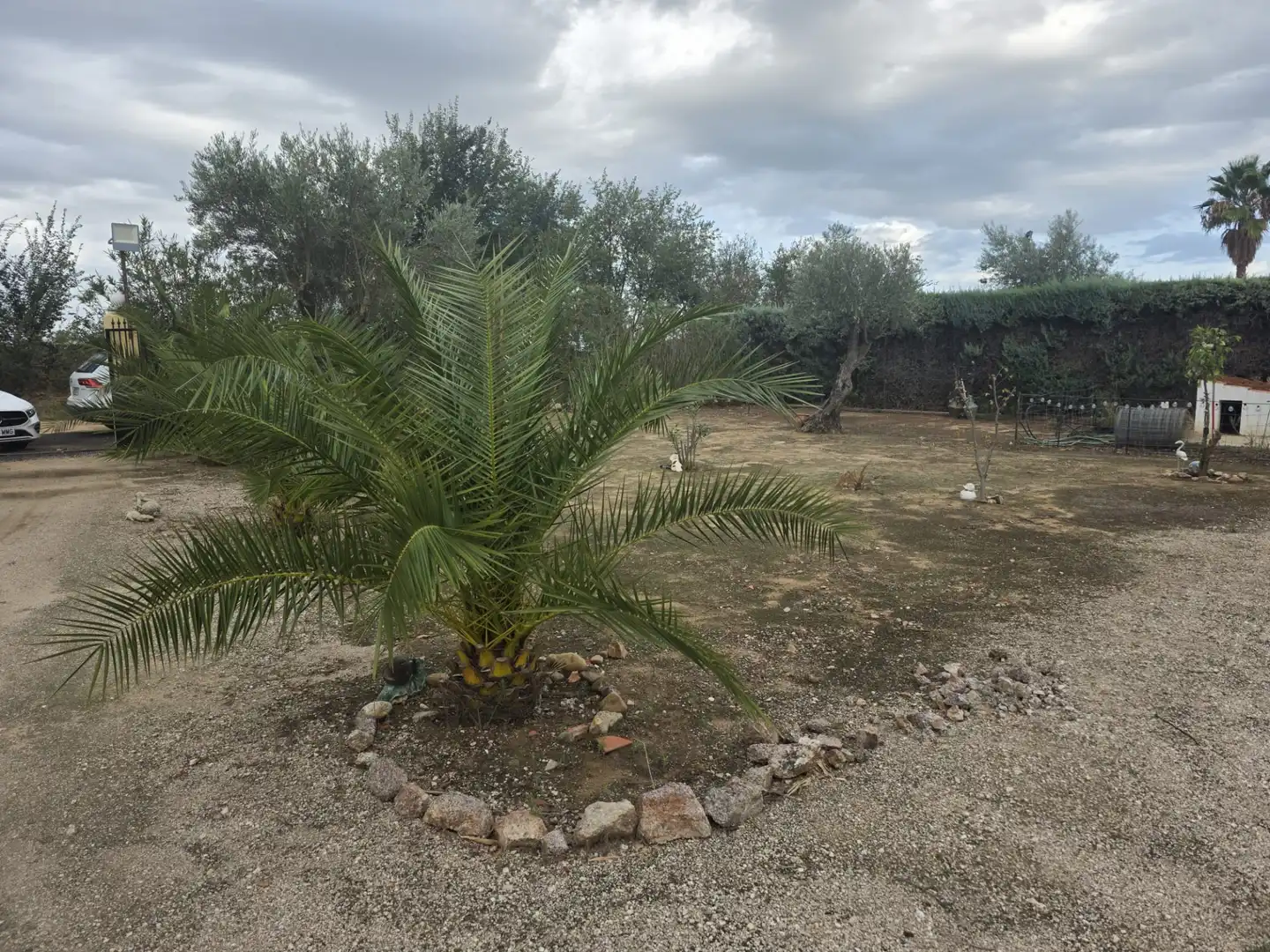 Chalet con piscina en venta en Parque de la Constitución 5a, imagen 21