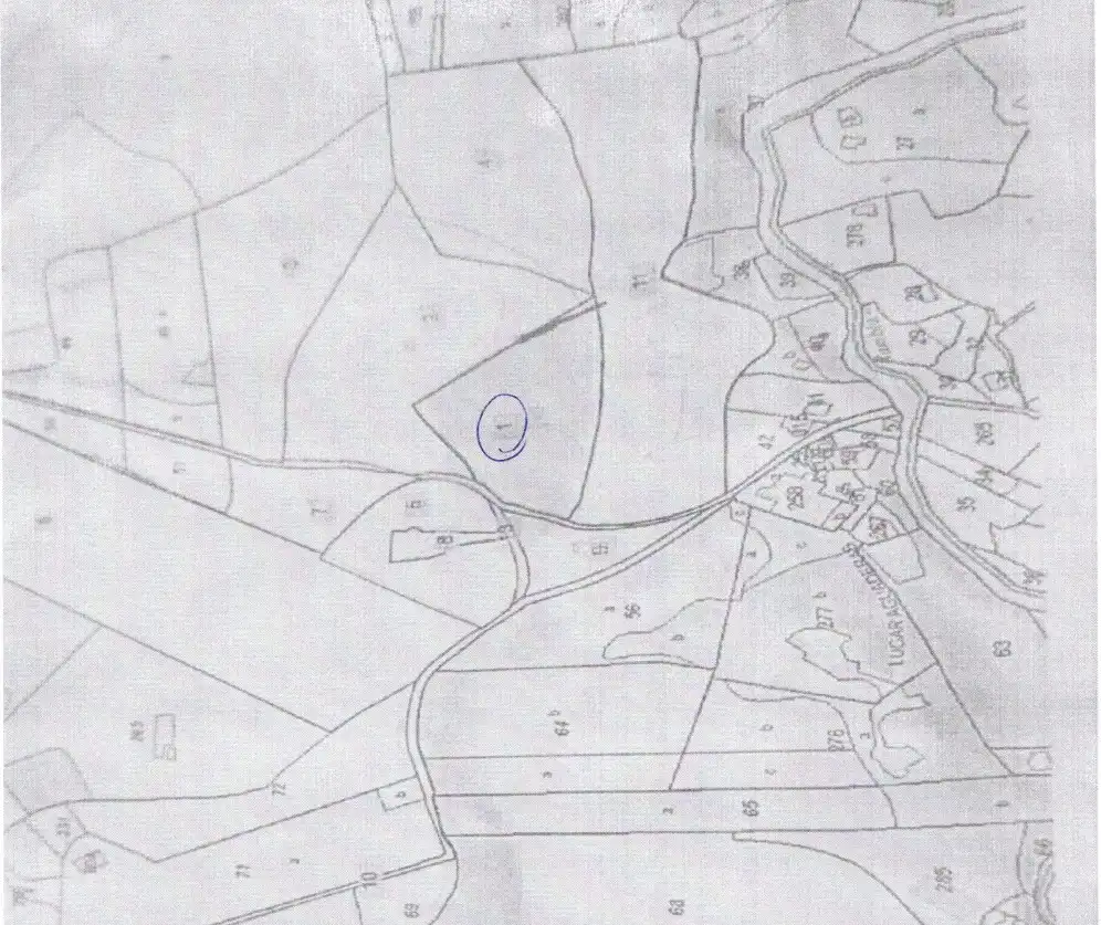 Terreno rustico in vendita a El Mesillo, imagen 2
