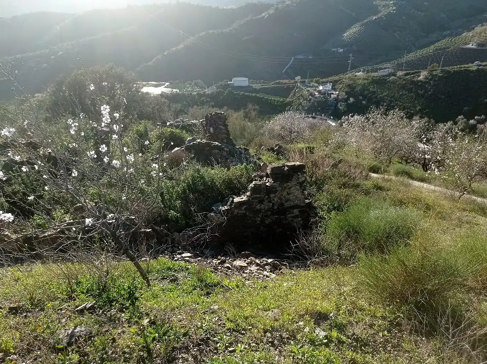 Terreny en venda en Iznate