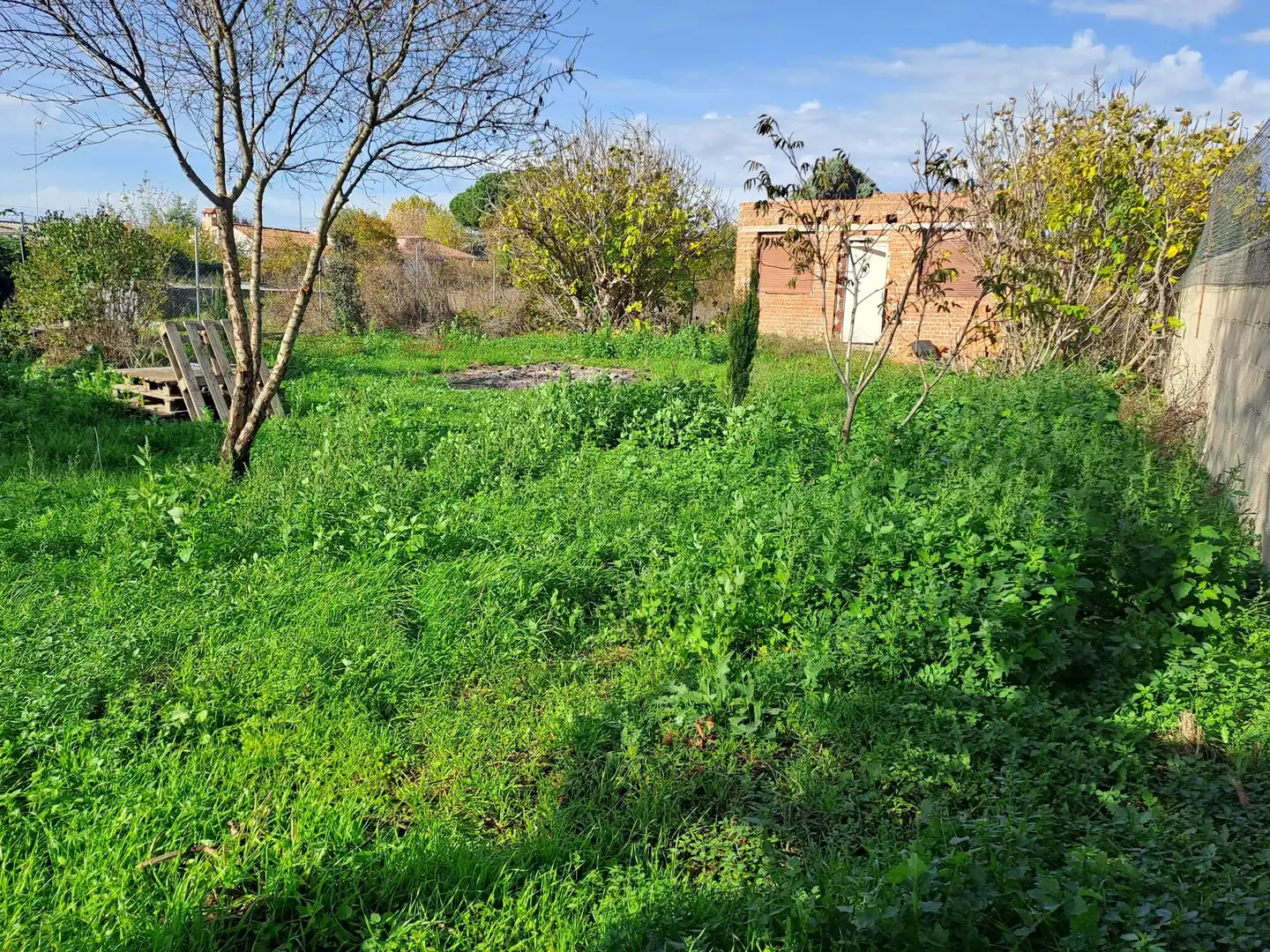 Terrenys i solars en venda a El Viso de San Juan, imagen 6