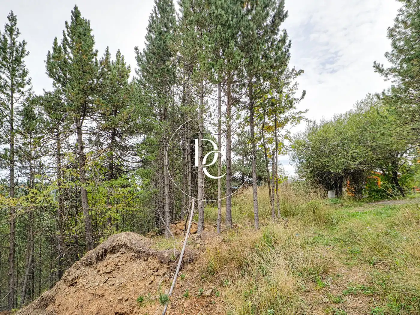 Residential for sale in Alp
