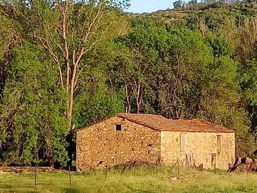 Terreno rustico in vendita a El Torno