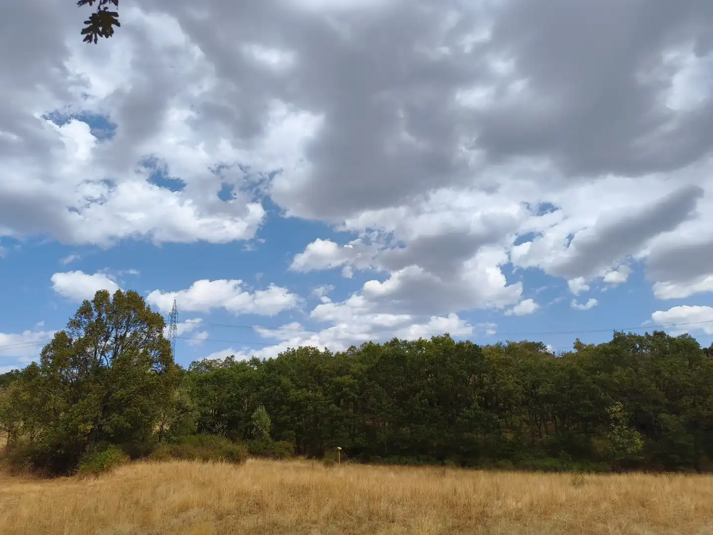 Terreno en venta en Piñuécar-Gandullas