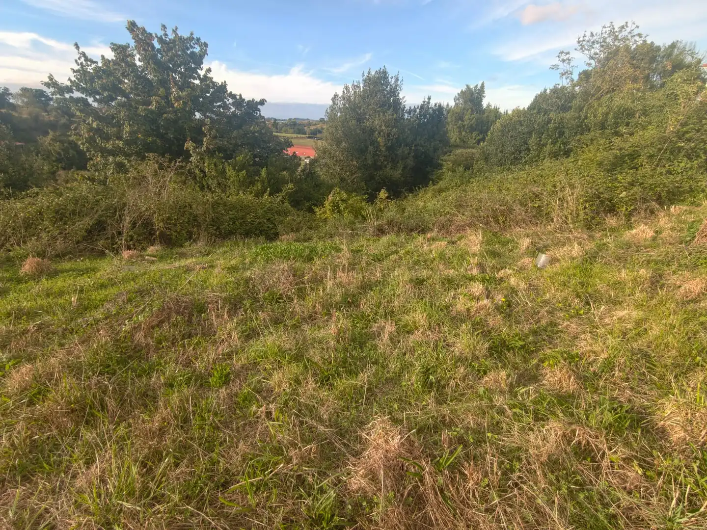 Terreno residencial en venta en Camino de La Pedrera 17, imagen 4