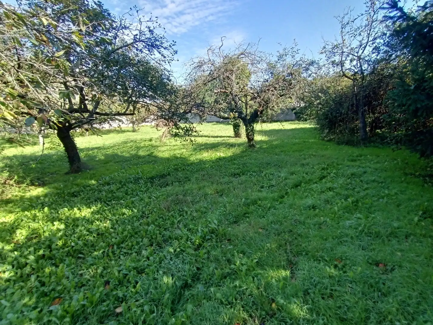 Residential land for sale in Calle Conde de Santa Barbara 31, imagen 17