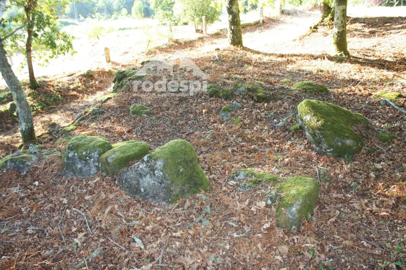 Lands and plots for sale in Mondariz, imagen 5