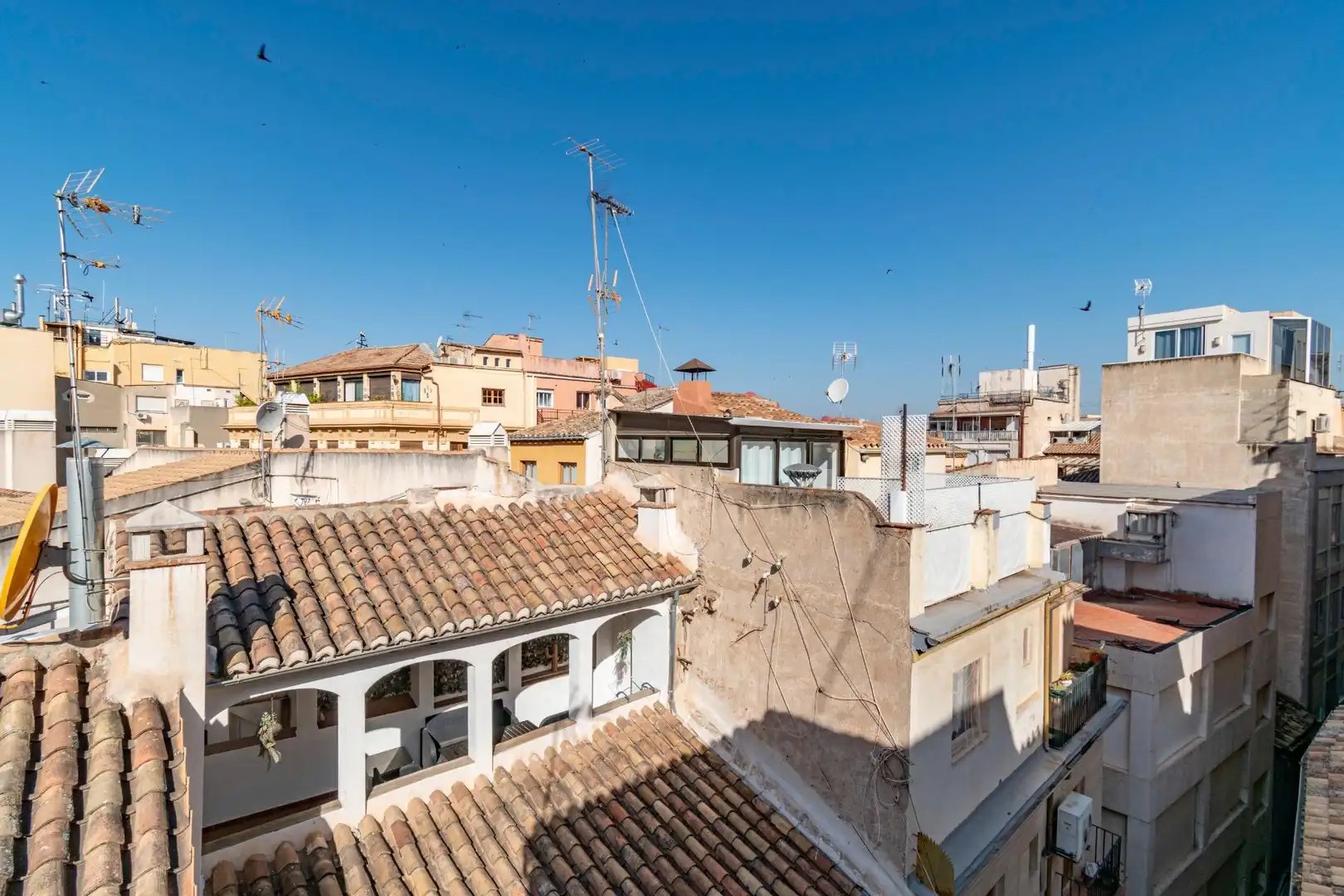 Inmuebles singulares en venta en Centro, imagen 45