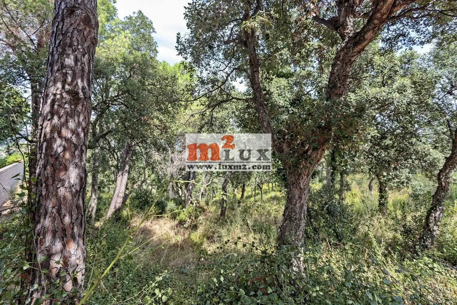 Terreny residencial en venda a Carrer Isidre Nonell 54, imagen 6