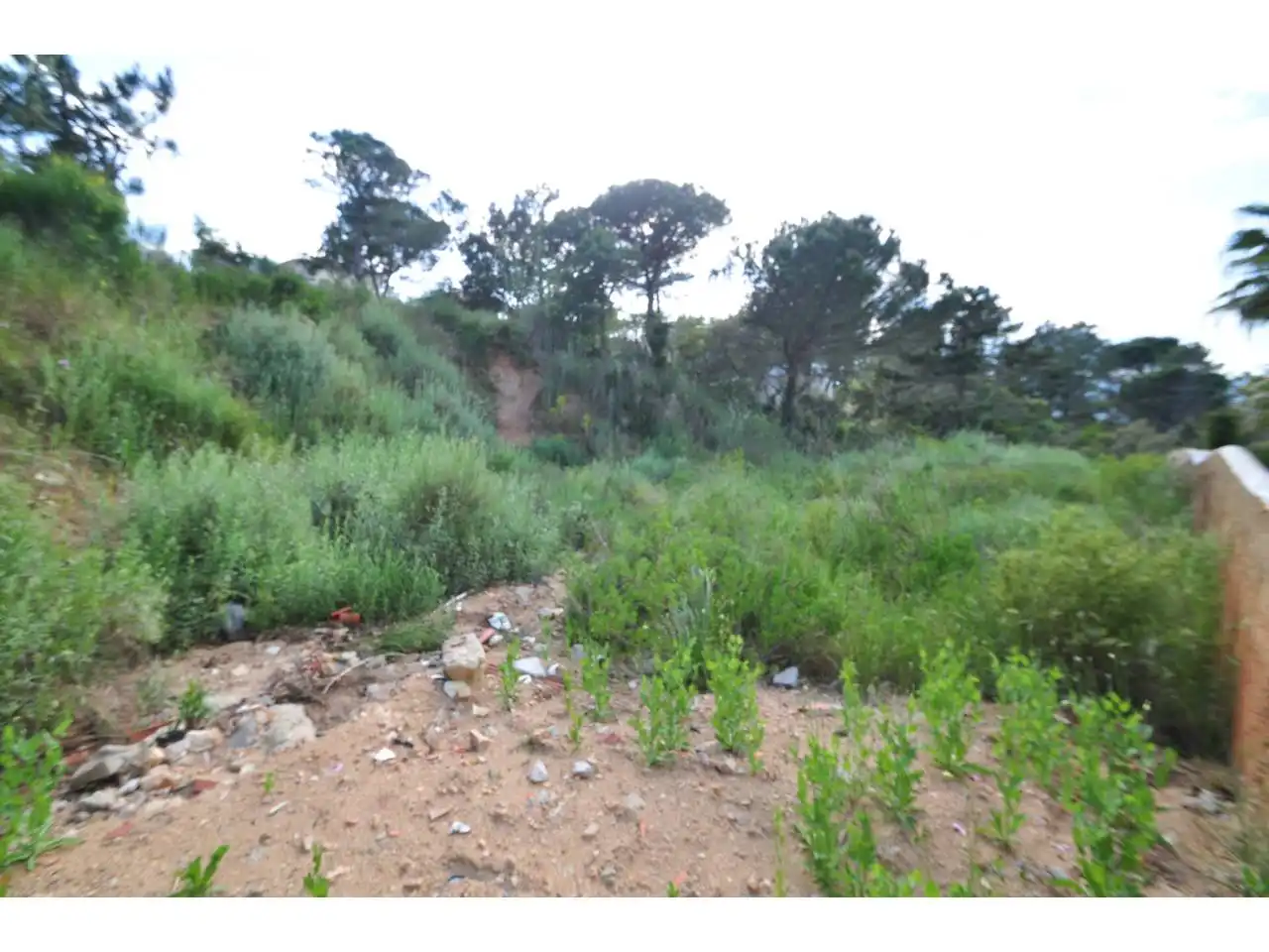 Terreno residencial en venta en Calle Roselles 29, imagen 5