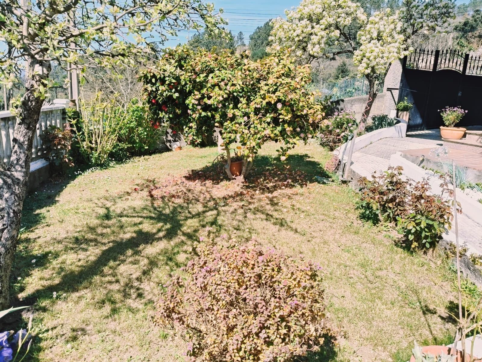 Houses for rent in O Pereiro de Aguiar