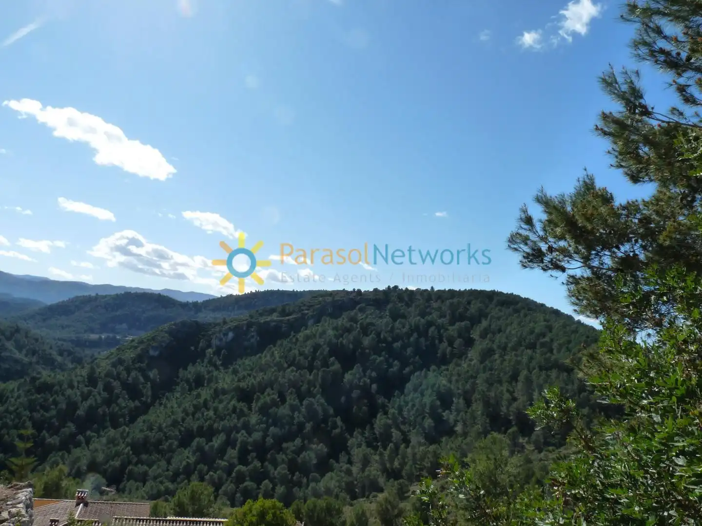 Terreno residencial en venta en Oliva pueblo, imagen 4