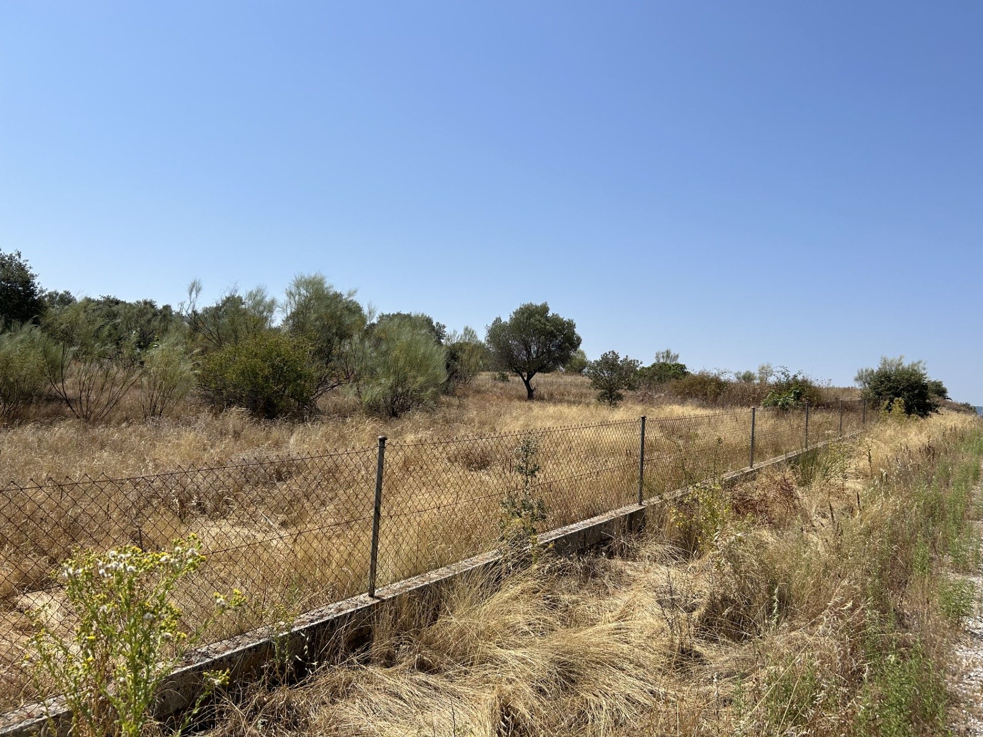 Terreno en venta en Navas del Rey