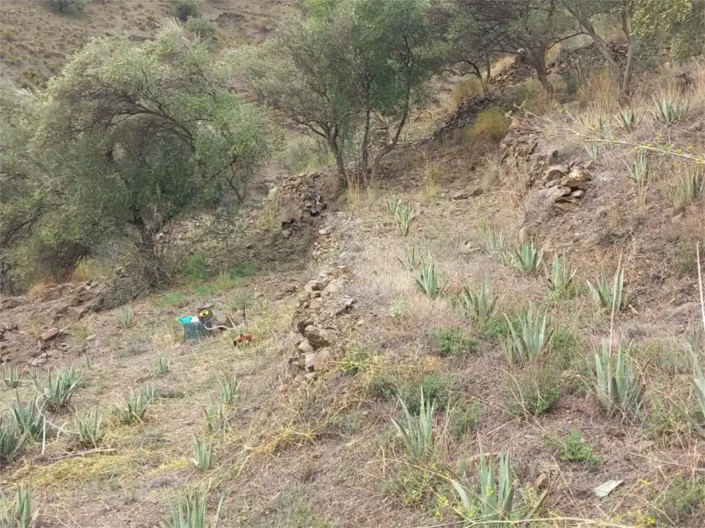 Terreno en venta en Árchez