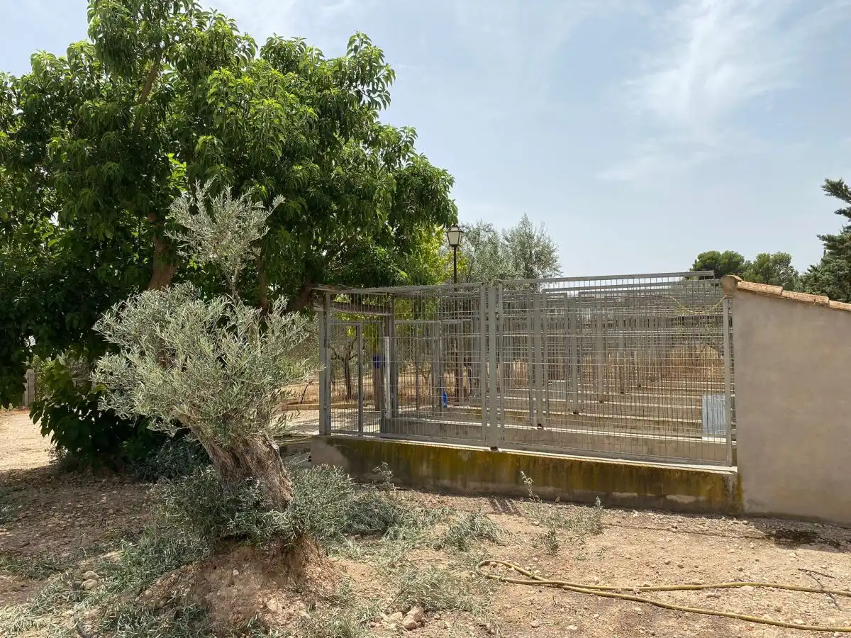 Chalet en venta en Salinas, imagen 53