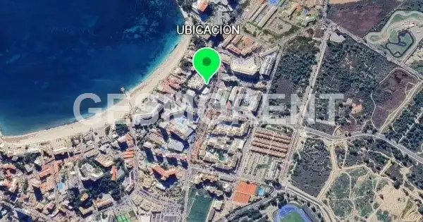 Local comercial en alquiler en Magaluf, imagen 3