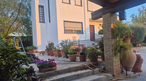 Foto 2 de Finca rústica en venta en Orihuela ciudad, Orihuela