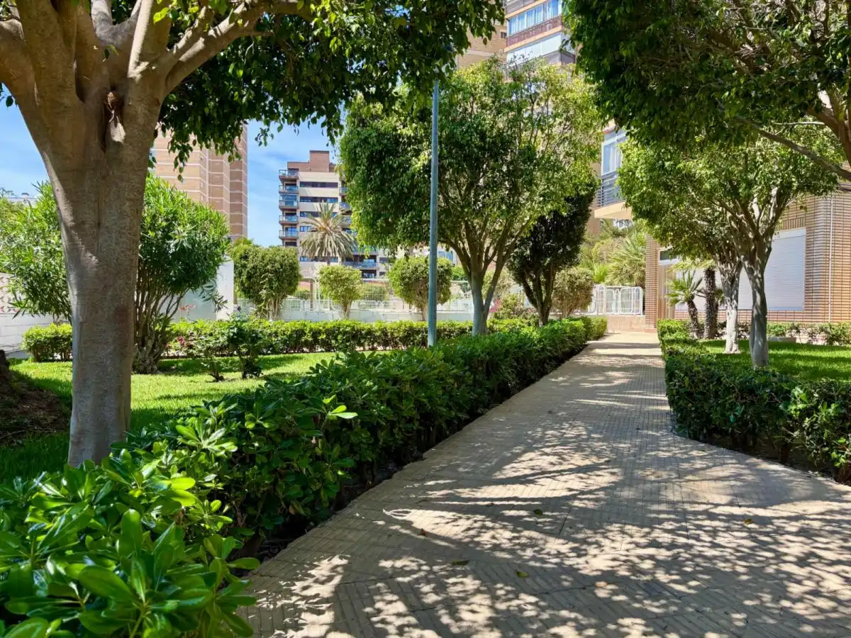 Apartments for rent in PAU 5