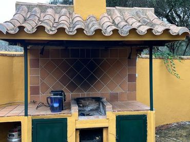 Casa rústica en venta en Benalup-Casas Viejas