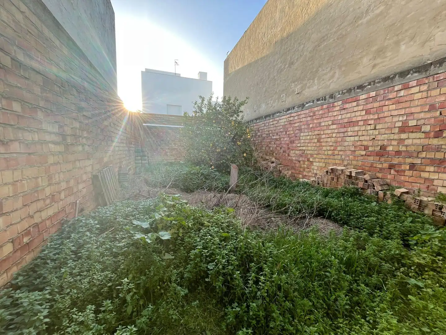 Garten von Geschaftsraum zum Verkauf in La Puebla de Cazalla