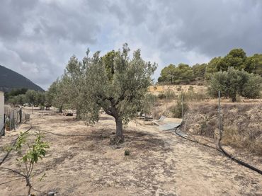 Grundstücke und Bauplätze zum Verkauf in Finestrat Pueblo
