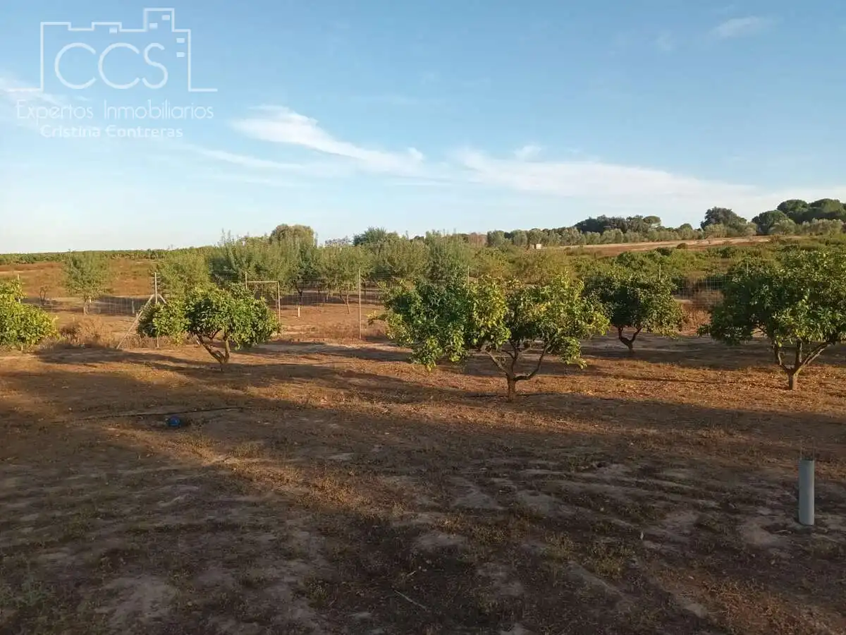 Finca rústica en venda en Bollullos Par del Condado amb Jardí privat i Moblat