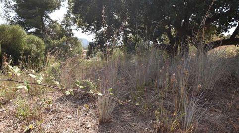 Foto 4 de Residencial en venda a Urbanitzacions del Nord, Santa Cristina d'Aro