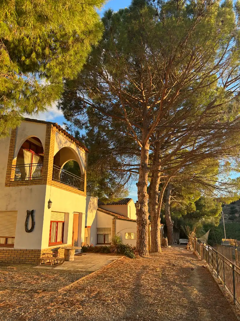 Terreni e lotti in vendita a Fraga, imagen 11