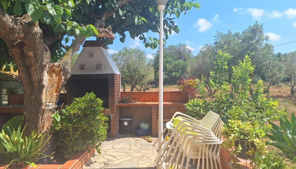 Foto 1 de Finca rústica en venda a Camino Blancafort de, Ponent, Tarragona