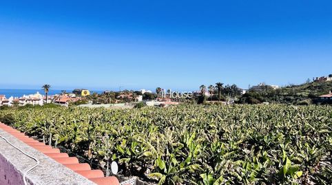 Foto 3 de Casa o chalet en venta en San Antonio - Las Arenas, Puerto de la Cruz
