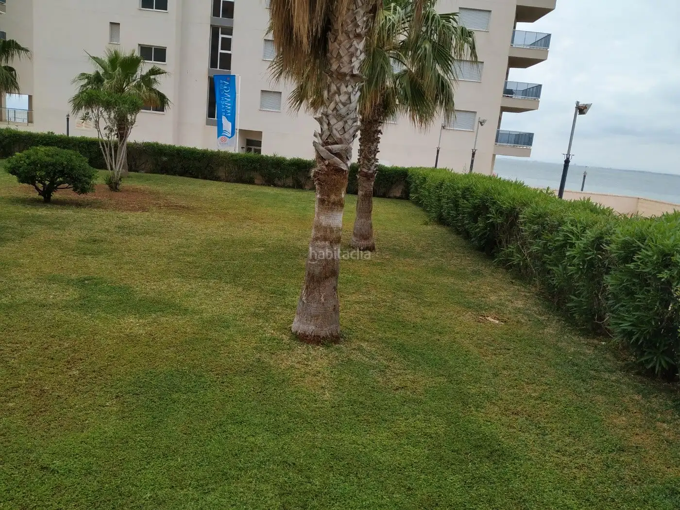 Bajo con piscina en alquiler en Urbanización Veneziola Golf 115, imagen 11