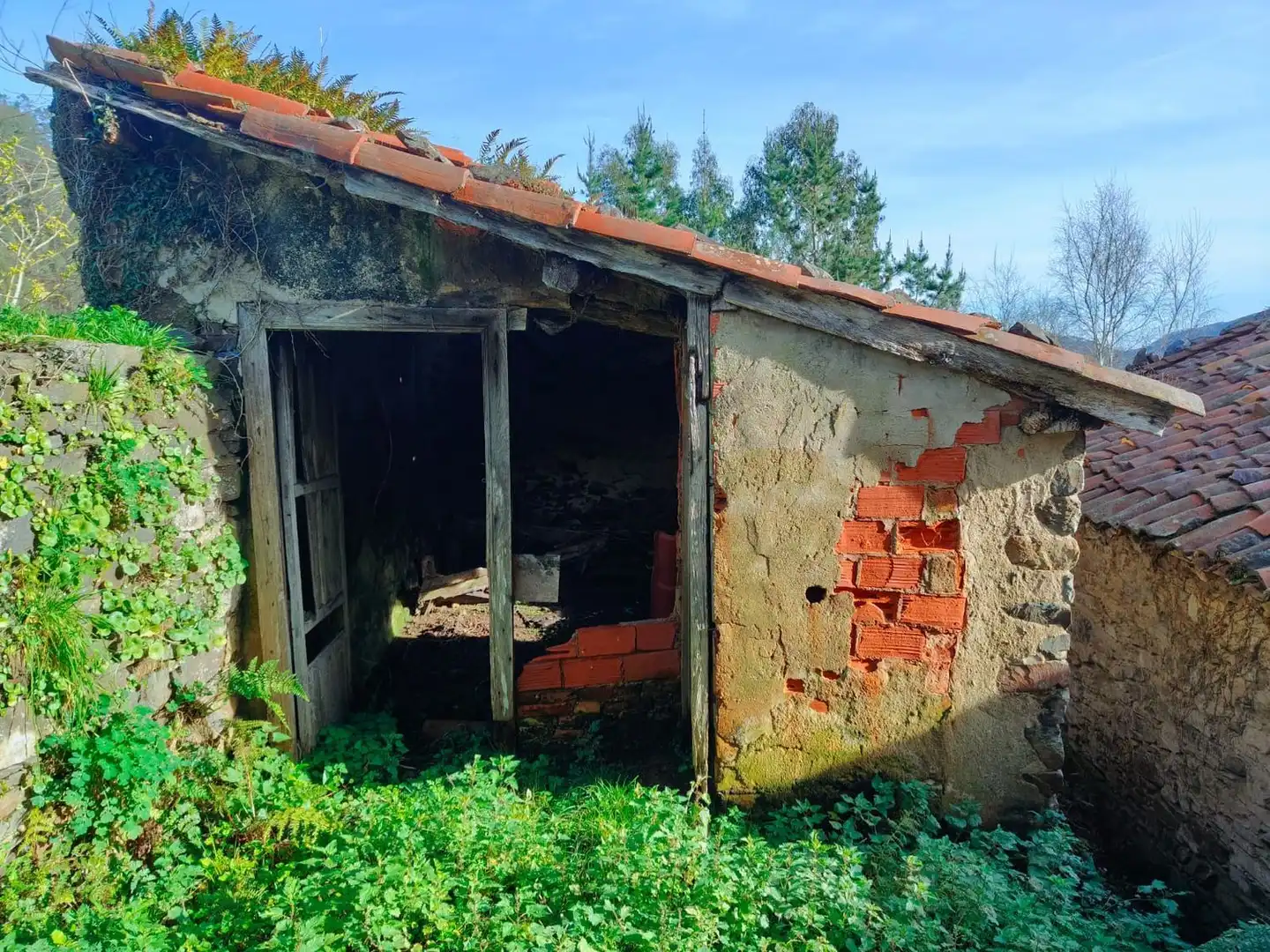 Vista exterior de Casa o chalet en venta en Valdés - Luarca con Terraza, Trastero y Piscina
