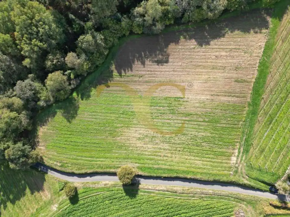 Wohnbaugrundstück zum Verkauf in Nocéu, imagen 7