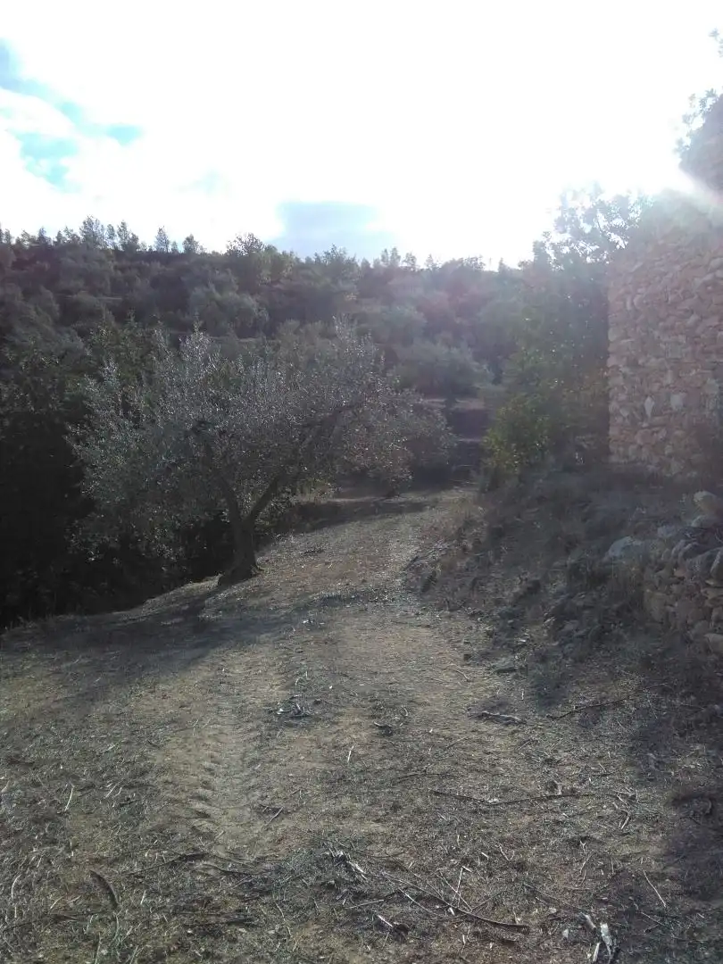 Country homes for sale in El Pinell de Brai