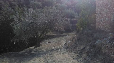 Foto 4 de Finca rústica en venda a El Pinell de Brai, Tarragona