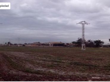 Terreny rústic en venda a Alfafar