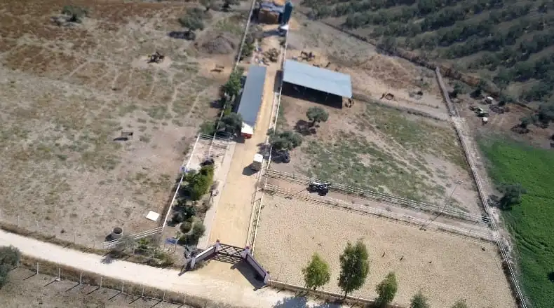 Terreny rústic en venda a Sanlúcar la Mayor