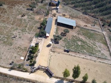 Rural land for sale in Sanlúcar la Mayor