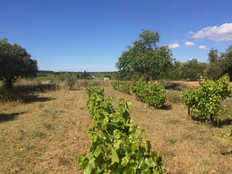 Country homes for sale in El Tancat - Mas d'en Gual